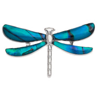 Paua Shell Dragonfly Pin Badge